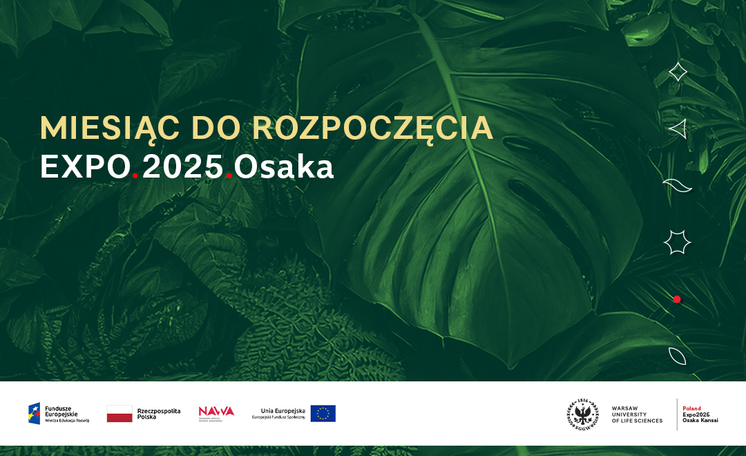 hasło: miesiąc do rozpoczęcia EXPO 2025 Osaka